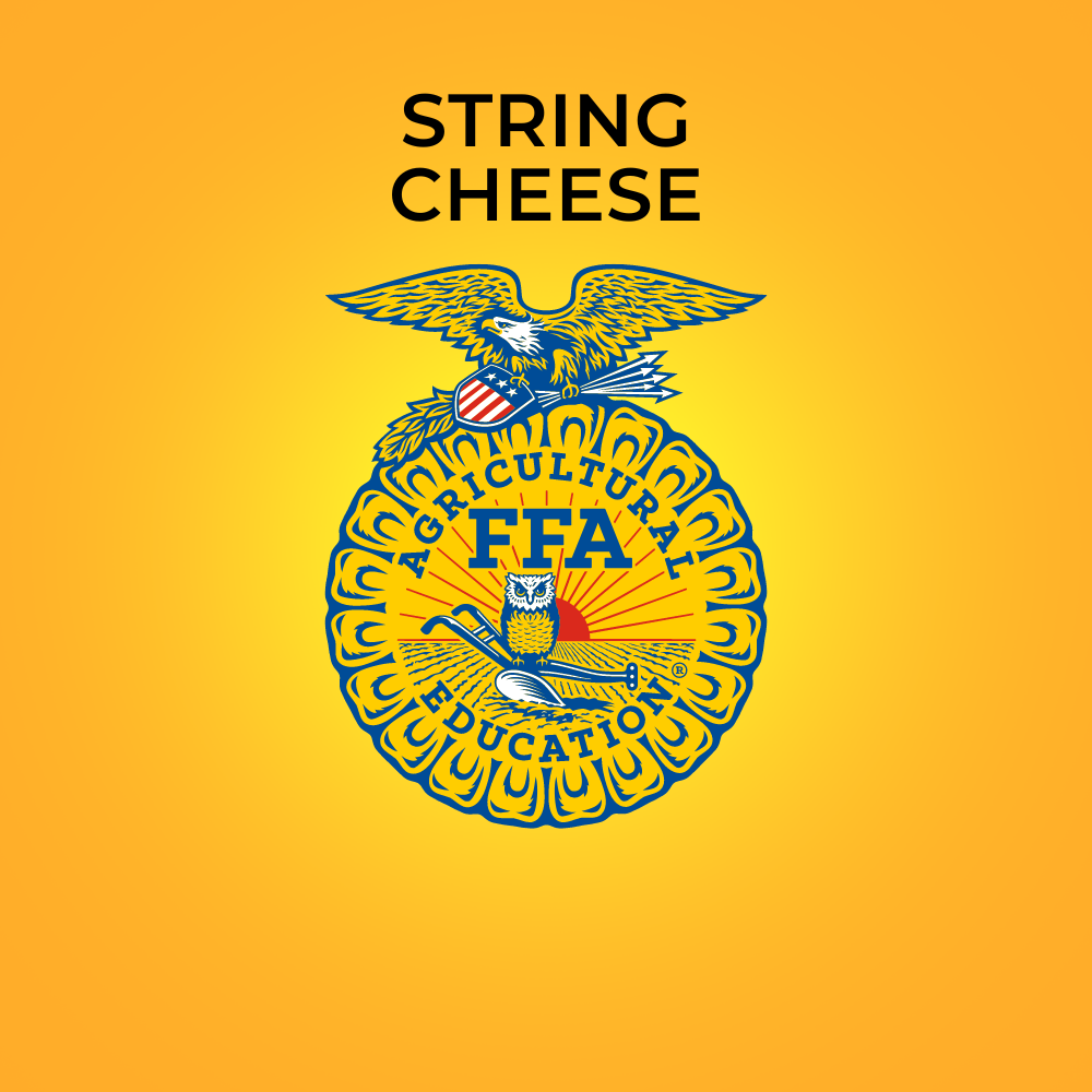 20 oz Family Size String Cheese Main Image